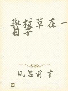 与校草在一起的日子