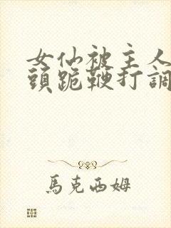 女仙被主人拽奶头跪鞭打调教小说