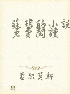 苏玥的小说全文免费阅读