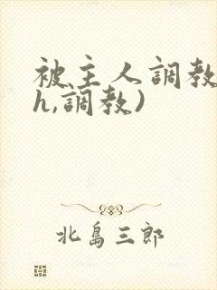 被主人调教(高h,调教)