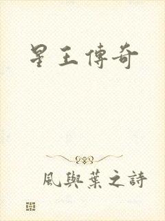 星王传奇封面
