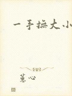 一手抚大小说
