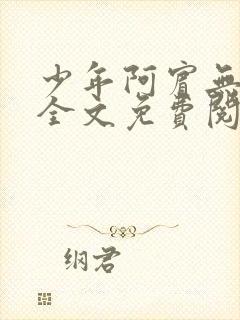 少年阿宾无删减全文免费阅读笔趣阁封面