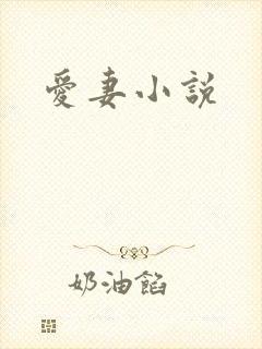 爱妻小说