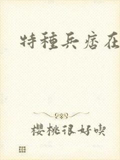 特种兵痞在都市