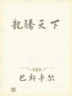 龙腾天下封面