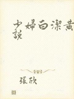 少妇白洁黄色小说