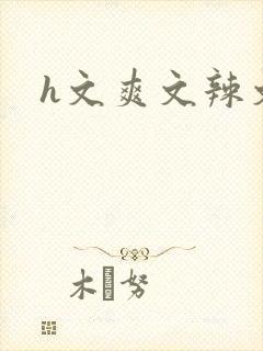 h文爽文辣文