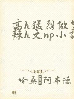 高h猛烈做哭高辣h文np小说