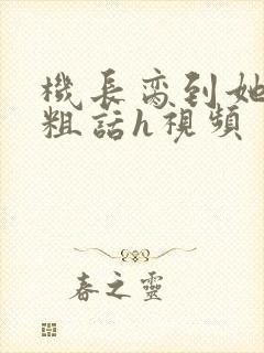 机长脔到她哭h粗话h视频