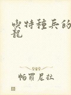 吃特种兵的大黑龙