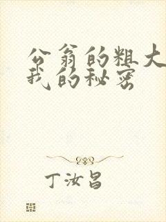 公翁的粗大放进我的秘密