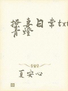 撩妻日常txt青灯封面