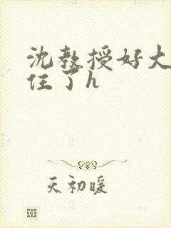 沈教授好大含不住了h