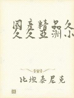 国产精品久久久久久亚洲小说