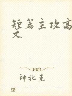 短篇主攻高辣h文