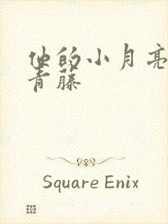 他的小月亮by青藤