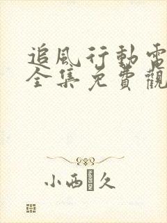 追风行动电视剧全集免费观看