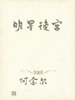 明星后宫