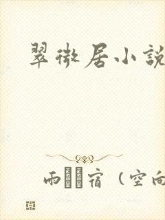 翠微居小说