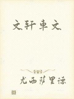 文轩车文