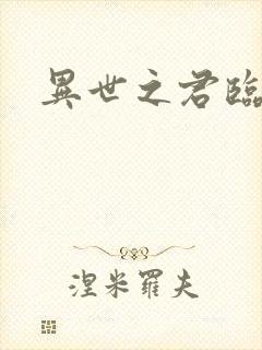 异世之君临天下封面