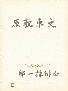 原耽车文