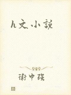 h文小说封面