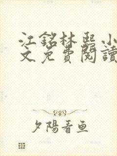 江铭林熙小说全文免费阅读