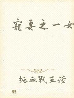 宠妻之一女二夫封面