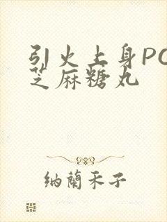 引火上身POP芝麻糖丸