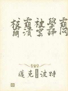 校霸被学霸玩到崩溃云译网