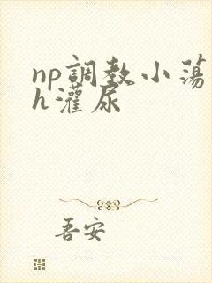 np调教小荡货h灌尿