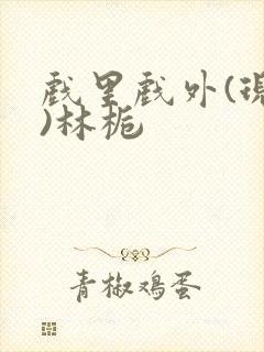 戏里戏外(现场)林栀