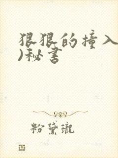 狠狠的撞入(h)秘书