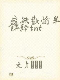 瘾欲欢愉半块小饼干tnt