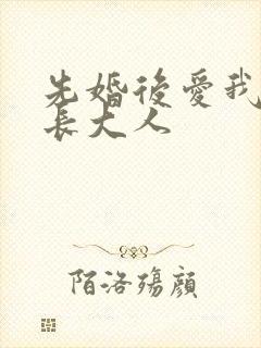 先婚后爱我的市长大人