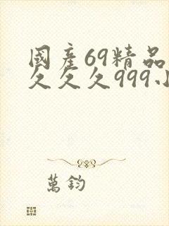 国产69精品久久久久999小说