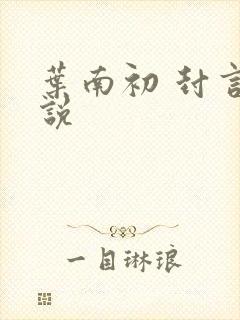叶南初 封言小说