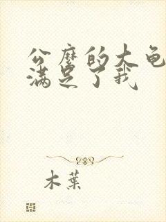 公么的大龟强大满足了我