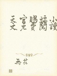 天官赐福小说全文免费阅读笔趣阁封面