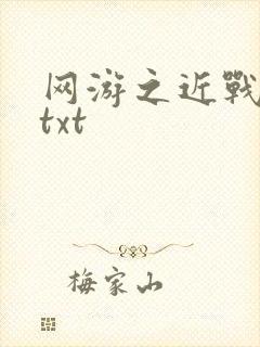 网游之近战法师txt