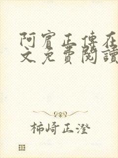 阿宾正传在线全文免费阅读无删减封面