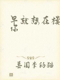 早就想在楼梯要你