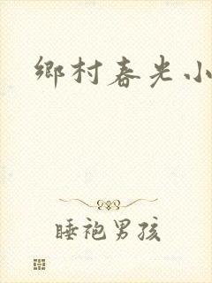 乡村春光小说