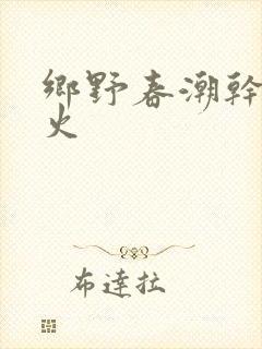 乡野春潮干柴烈火封面