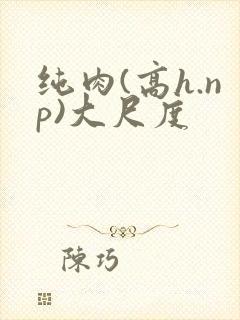 纯肉(高h.np)大尺度