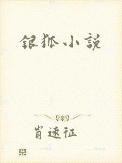 银狐小说封面
