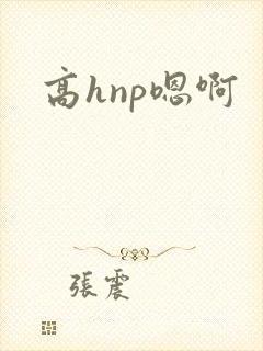 高hnp嗯啊