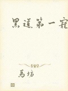 黑道第一宠婚封面